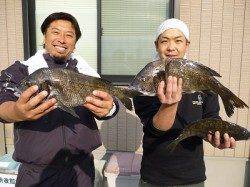 フカセ釣りで良型チヌもよく釣れています〜湯浅の磯〜