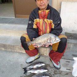 湯浅の磯、良型チヌをフカセ釣りでキャッチ♪