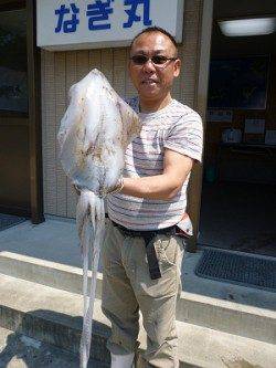 湯浅の磯、エギング・ヤエン・ウキ釣りでアオリイカの釣果☆