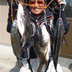 湯浅の磯 フカセでグレ50.7cm（2.1kg）