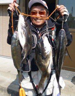 湯浅の磯 フカセでグレ50.7cm（2.1kg）