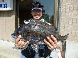 湯浅の磯 フカセでグレ50.7cm（2.1kg）