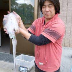 湯浅の磯、エギングでもキロアップ！胴長は31cm♪