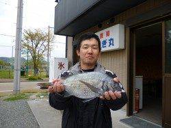 ★チヌ49cm他★湯浅でのフカセ釣り　好釣です