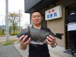 ★チヌ49cm他★湯浅でのフカセ釣り　好釣です