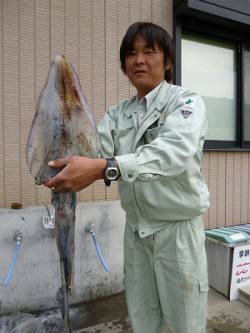 湯浅の磯のヤエン釣り、2キロアップにキロア…