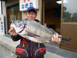 ♪好釣♪　湯浅磯でのフカセチヌ！