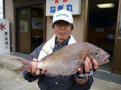 女性釣り師が見事マダイGET！湯浅でフカセ