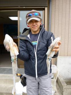 湯浅の磯 エギングでアオリイカのキロクラス…