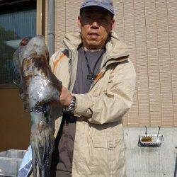 湯浅の磯でのヤエン釣り、胴長42cm・2.58kgのアオリ！！！