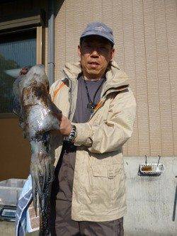 湯浅の磯でのヤエン釣り、胴長42cm・2.58kgのアオリ！！！