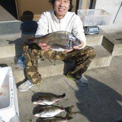 湯浅でフカセ、良型含むチヌ5枚！