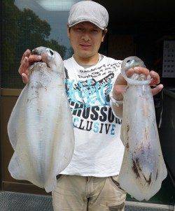 湯浅の磯で春アオリ♪ヤエン釣り