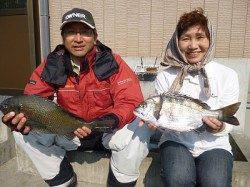 カンダイ・チヌをフカセで釣りました♪