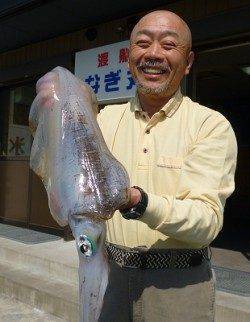 湯浅の磯 ヤエンでアオリイカ〜2.65kg3バイ