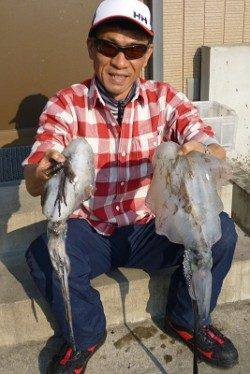 湯浅の磯 エギングでアオリイカ〜1.14kg2ハイ　4号エギ使用