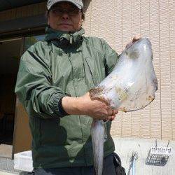 湯浅の磯でエギング、hitカラーは金アジ&グリーン