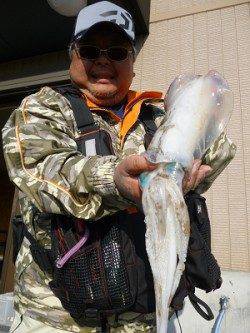 湯浅の磯でエギング、hitカラーは金アジ&グリーン