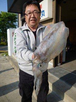 ヤエンで2キロアップが続々釣れています！