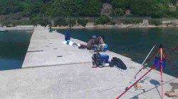 炬口　投げ釣りでキス〜18cm5尾　群れは小さい様子です