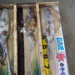 天神崎 ヤエンでアオリイカ〜2.69kg