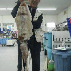 すさみ地磯でアオリイカ2.765ｇ★