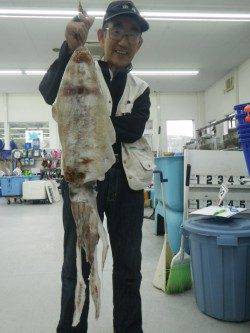 すさみ地磯でアオリイカ2.765ｇ★