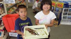 芳養漁港　アジ・ガシラ・イワシなどのキッズ…