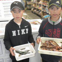 堺堤防 サビキでアジ・ガシラ・イワシなどお手軽に楽しめる