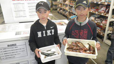 堺堤防 サビキでアジ・ガシラ・イワシなどお手軽に楽しめる