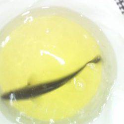 大阪南港　ジグヘッドでチーバス　スルメイカ狙いでコウイカ