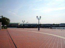 今朝もなぎさ公園で稚鮎♪ 泉大津RT23日朝