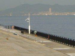 北公園RT ガシラも好調