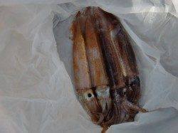 【今日は良いですよ~】南芦屋浜リアルタイム