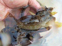 神戸空港ＲＴ　ご家族で楽しめます