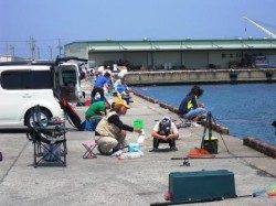 サビキがイイ感じ!!　泉大津店26日お昼ＲＴ