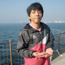 【大人気】芦屋のイカ情報