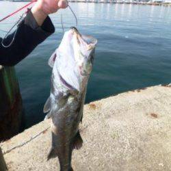 貝塚人工島～食コンリアルタイム