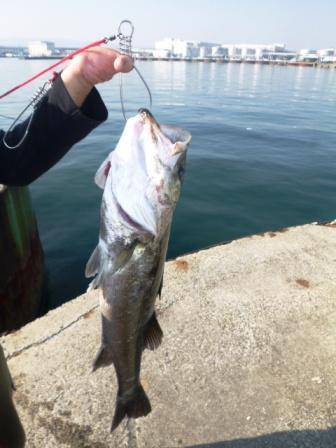 貝塚人工島～食コンリアルタイム