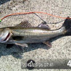 ＧＷ最終日も大盛況！泉大津RT(6日・朝)