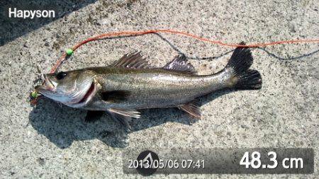 ＧＷ最終日も大盛況！泉大津RT(6日・朝)