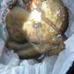 伊根湾内エギング調査、釣れたのは…食べ頃サイズのタコ