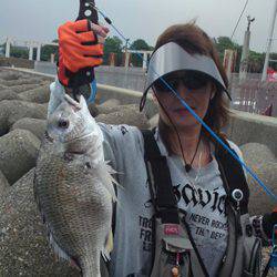 淀川河口　シーバス狙いにキビレがヒット！