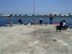 チョイ投げで…　泉大津周お昼辺６日RT