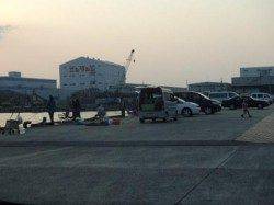 イワシが…　泉大津周辺６日夕方RT