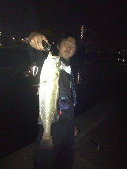 和歌川河口、本日の釣果は全てトゥイッチでの釣果