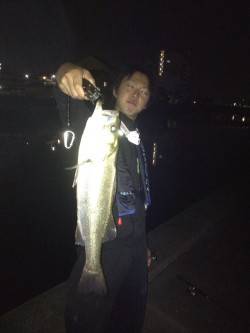 和歌川河口、本日の釣果は全てトゥイッチでの…