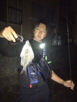 和歌川河口、本日の釣果は全てトゥイッチでの釣果