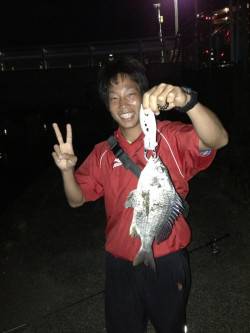 和歌川河口　チニングでチヌ6匹＆シーバス5…