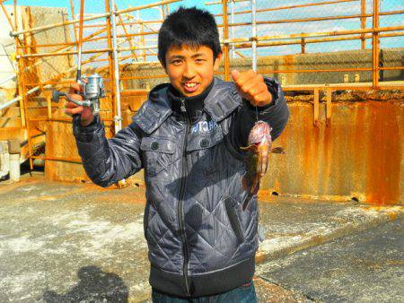 南港海釣り公園 ガシラ35匹の他ハネの釣果…